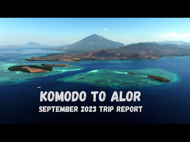 Diving Komodo and Alor in 2023... (4K)