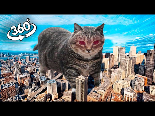 360° OIIAOIIA Cat in Real Life - 4K VR Experience