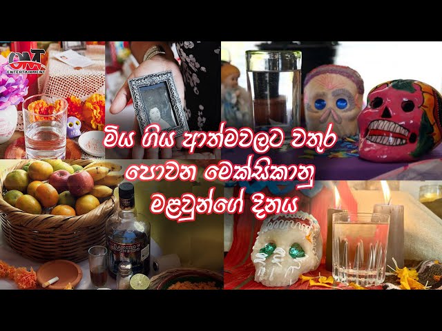 මෙක්සිකානු මළවුන්ගේ දිනය | OMT Entertainment | Day of the Dead