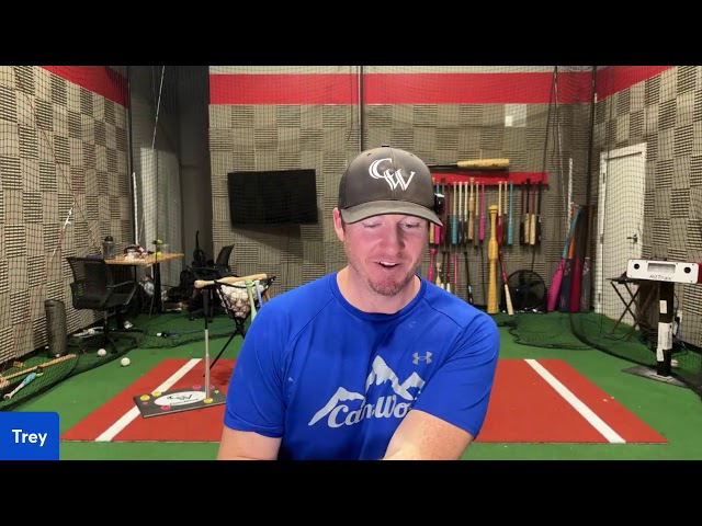 CamWood Live Virtual Hitting Clinic