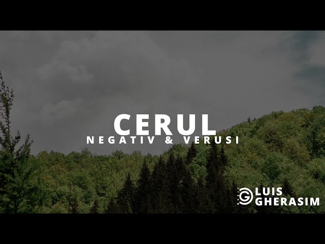 Cerul || Negativ & Versuri (Diana Scridon)