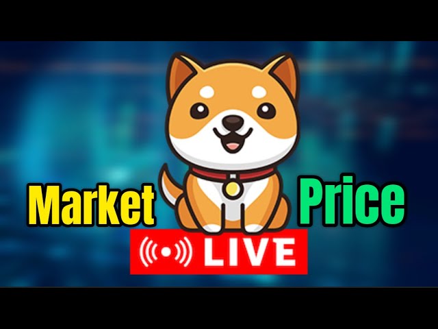 $Babydoge LIVE Market Price - EN VIVO - Quemas y Mas