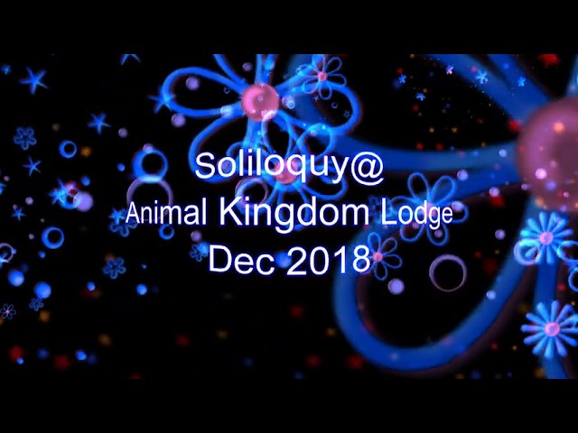 Soliloquy Performing at Disney's Animal Kingdom Lodge Dec 13, 2018