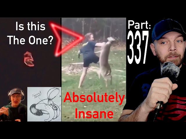 Most Disturbing Videos On the Internet Today! (Part 337)