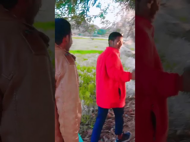 #trending #funny #video #comedy #apnobundelkhand #dance #bundelkhandi #khesarilalyadavnewsong2023and