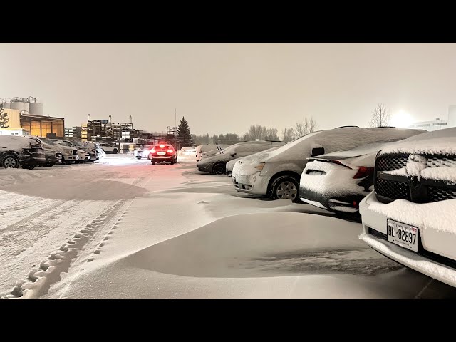 Walk in Snow storm day canada Toronto 4K #canada #snow #trending #winter #toronto #snowfall #life