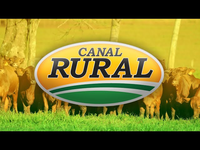 CANAL RURAL EN VIVO