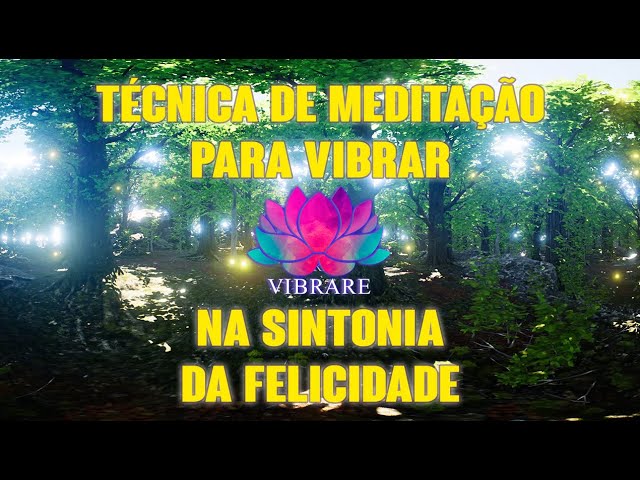 TÉCNICA DE MEDITAÇÃO - VIBRAR NA SINTONIA DA FELICIDADE - 360° VR - TRANSFORMAÇÃO POSITIVA EM 528Hz