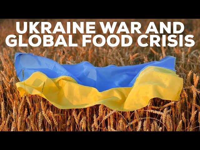 How the Ukraine war has contributed to Global Food Crisis