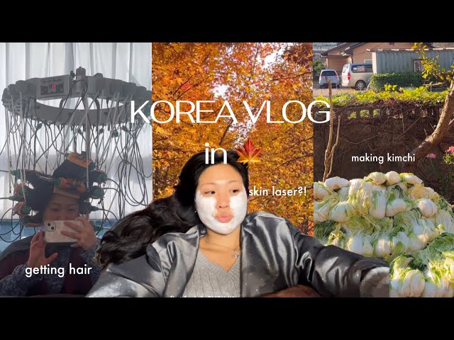 Korea VLOG in Fall 🍁 | getting hair done, skin laser, Kimchi making