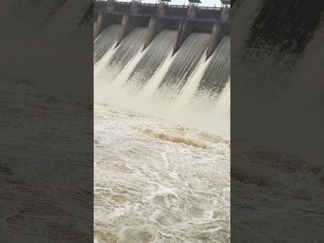 Amazing waterflowing from hidkal dam #flood #dam #rain #waterfall