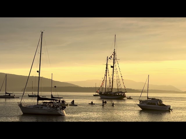 Relaxing evening by the bay