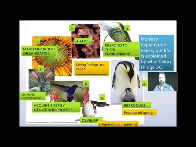 Biology Basics