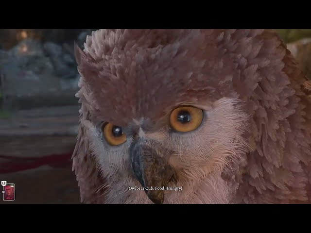 Feeding the Owlbear Cub 🦉 — Baldur’s Gate 3 Gameplay #baldursgate3 #bg3 #shorts