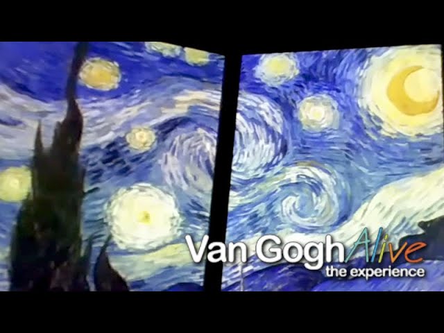 Van Gogh Alive at the Dali Museum