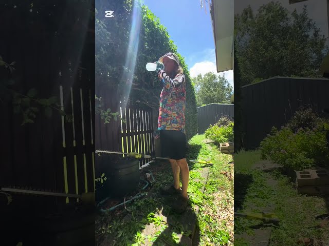 Safety trim #snakes #hedging #hedger #safety #gardenwasteremoval #gardenmaintenance #shortsfeed