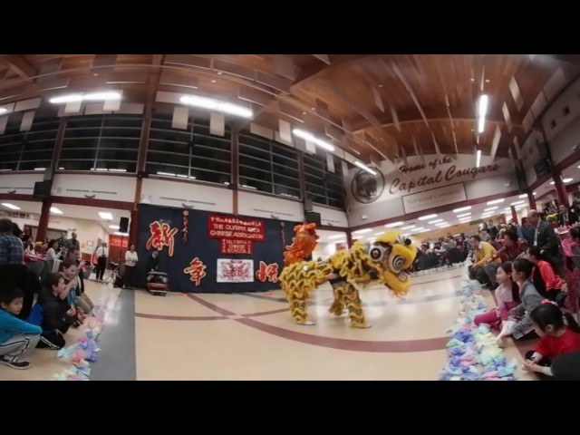 Lion Dance