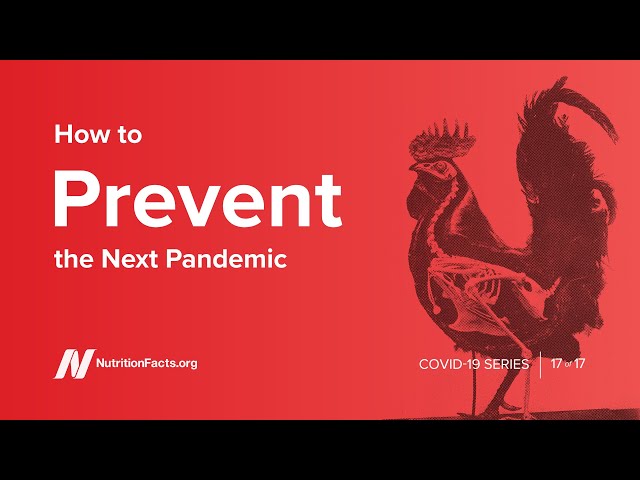 How to Prevent the Next Pandemic PLUS Dr. Greger's New Book