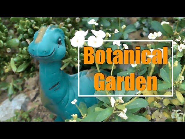 beautiful Botanical Garden in South Korea | Relax Music | Stress Relief