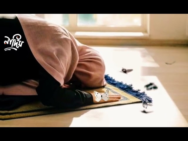 Abu Taha Muhammad Adnan WhatsApp status video||2021 shur chorano