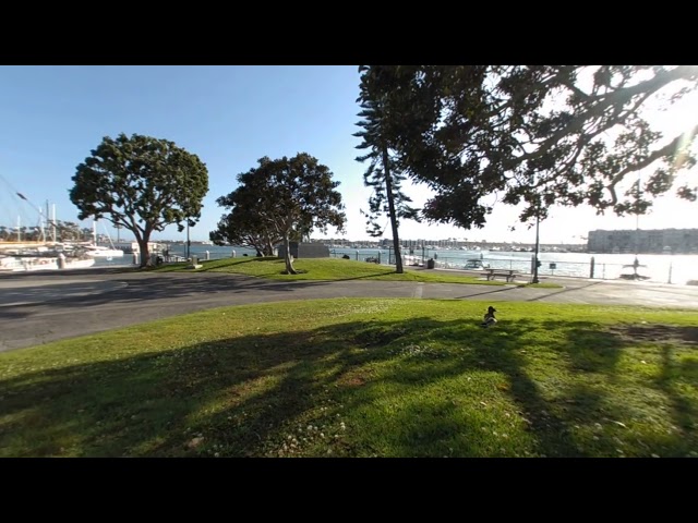 VR180 Slice of Life - Park by The Bay