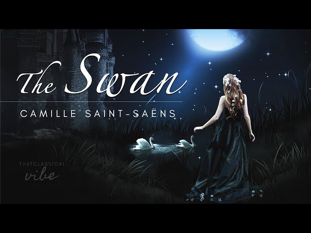 The Swan - Saint-Saëns extended (1 hour)