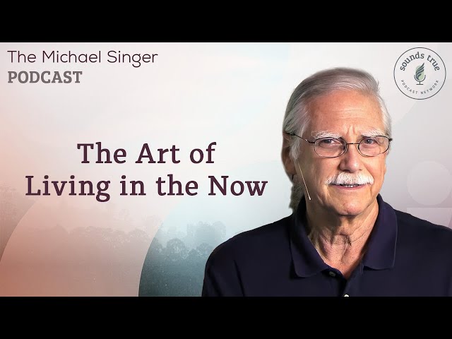 The Art of Living in the Now | The Michael Singer Podcast