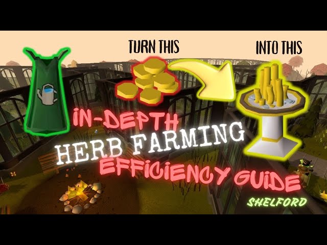 In-Depth Herb Farming Efficiency Guide