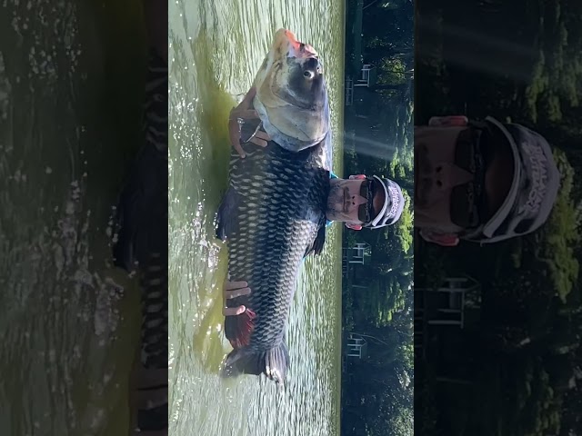 WATCH this Carp JUMP right out of my hands 😮😂