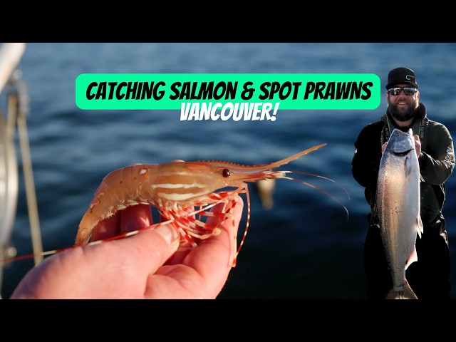 UNLOCKING Vancouver’s Fishing Potential: PRAWNING and WINTER CHINOOK FISHING!