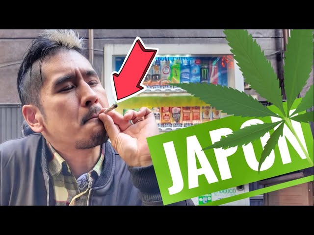 🍄 What YOU CAN and what YOU CAN'T do in Japan