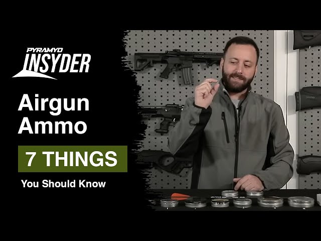 7 Things You Should Know About Airgun Ammo For Beginners