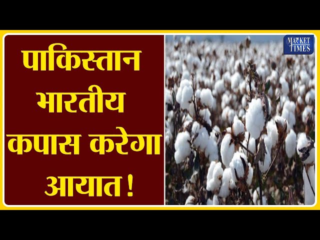 पाकिस्तान भारतीय कपास करेगा आयात ! Market Times TV | #cotton #kapas #narma #cci #cottonexport