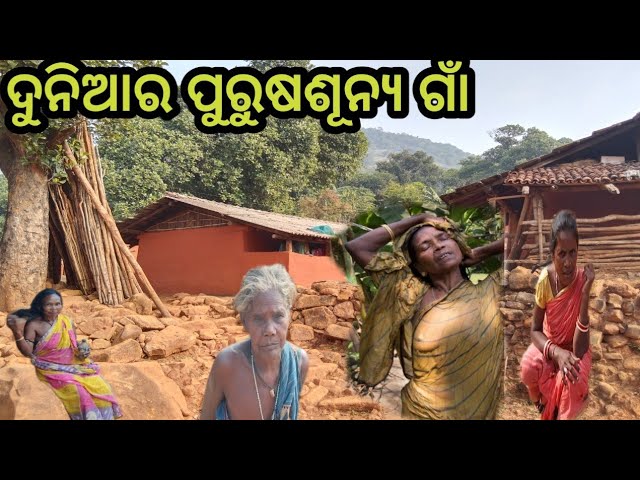 ଦୁନିଆଁର ପୁରୁଷଶୂନ୍ୟ ଗାଁ ❗#triballife #charigarhvlogs  #odiavlog #odisha #video #travelvlog