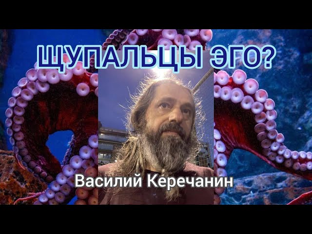 КАК НЕ ПОПАДАТЬ💥НА УЛОВКИ ЭГО?!! - Василий Керечанин.