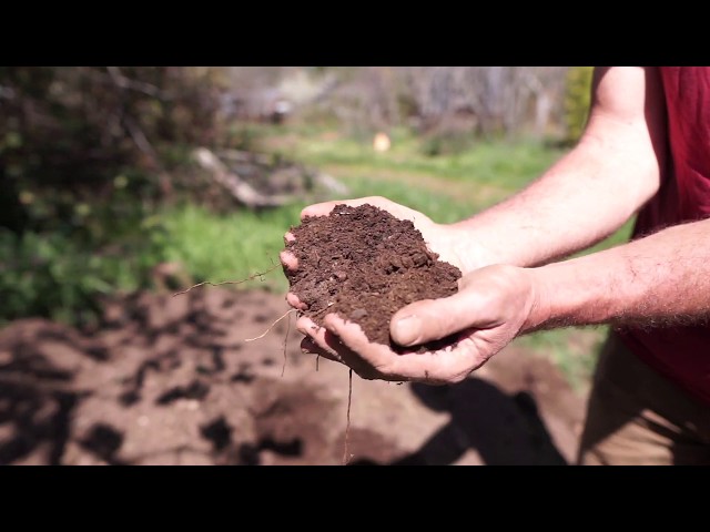 Making potting soil for starting seeds