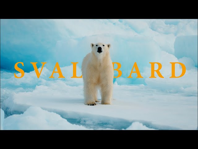 This is Svalbard - A Cinematic Expedition