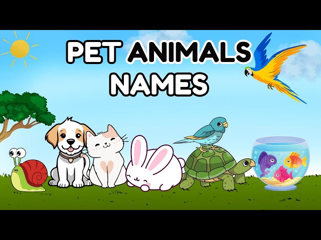 Pet Animals Names and Sounds | learn about Pet Animals | Best Learning video for Kids