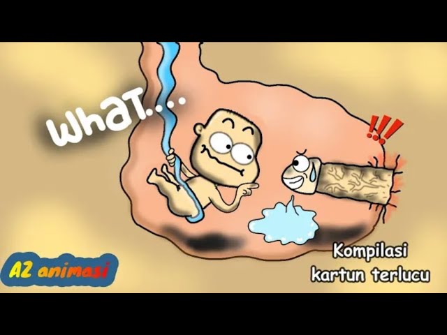 The Funniest Cartoons in Indonesia Az Animation | Funny cartoons