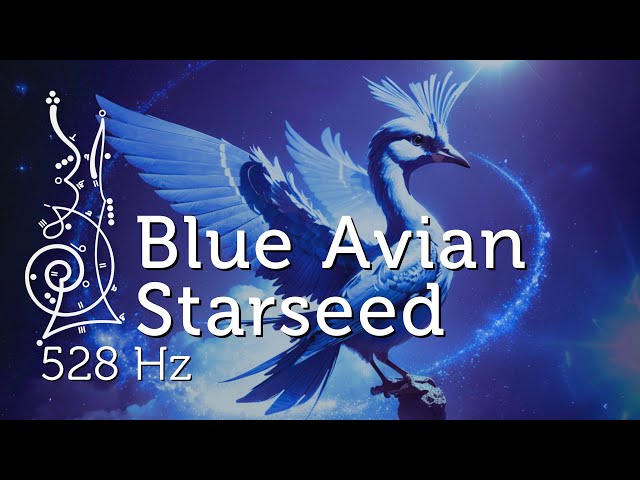 Blue Avian Starseed 528 Hz Starseed Activation & Meditation for Awakening Pleiadian Music Lightcode