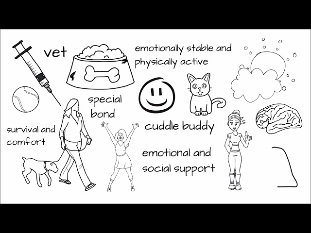 Benefits of Pet Ownership