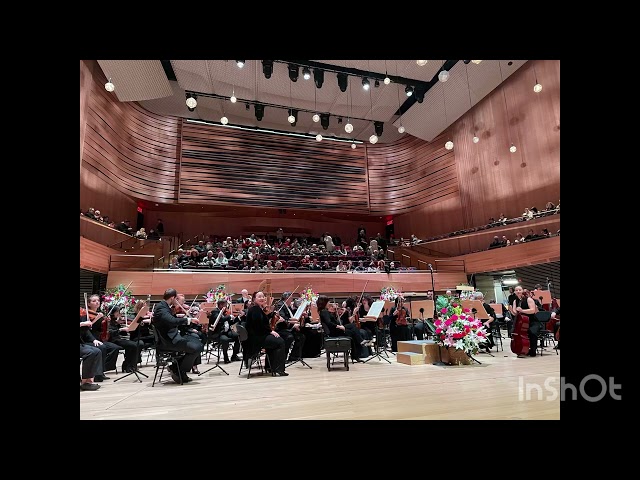 Salute to Vienna New Year 2025 Concert Salute to Vienna at the Lincoln Center New York