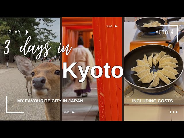 What To Do In Kyoto Japan 2024 - Kyoto Itinerary