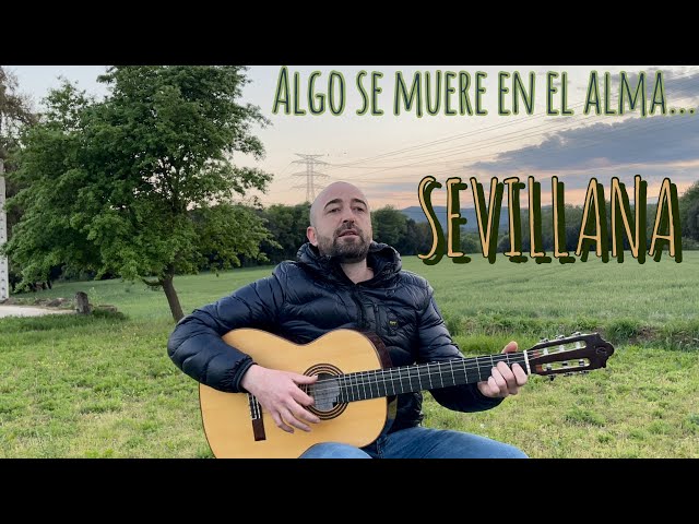 Algo se muere en el alma - SEVILLANAS (Ferran Tomas)