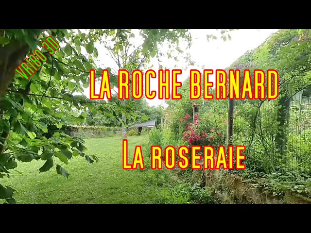 VR180 3D   Insta360 EVO   LA ROCHE BERNARD   La roseraie   4k