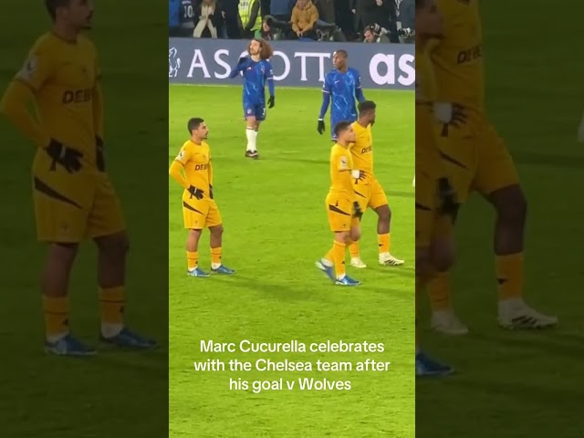 Cucurella penguin goal celebration vs wolves #cfc #chelsea #football #soccer #shorts #fyp #cucurella