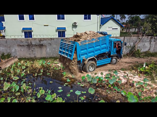 Start a new project Filling Land Delete Pond!! Dump Truck Unloading soil with Mini Bulldozer