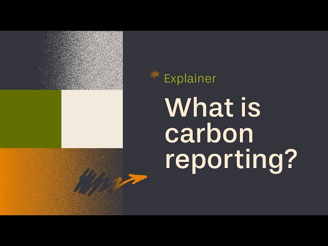 Explainer: Carbon Reporting