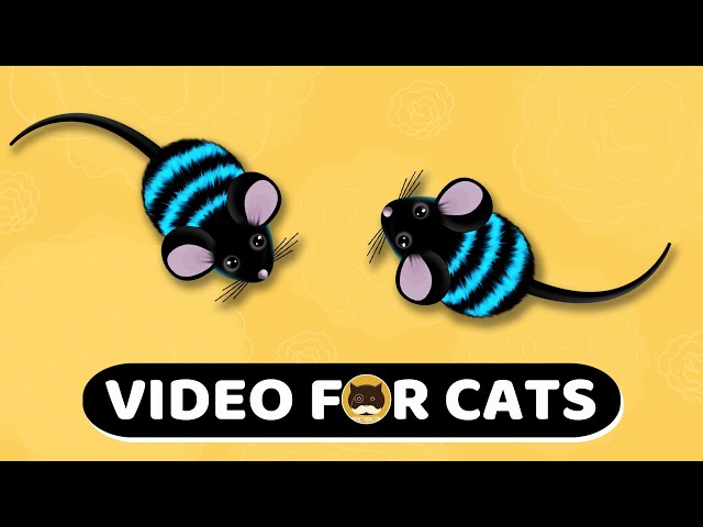 CAT GAMES - Mouse. Mice Video For Cats | CAT & DOG TV | 1 Hour.