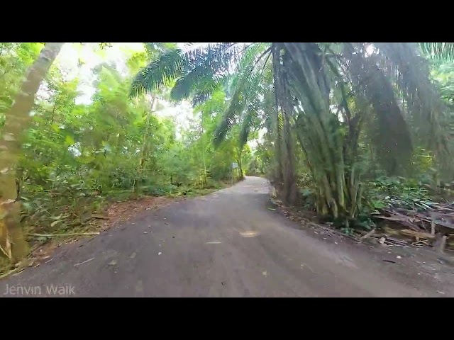 Mandai Park Connector (Central Catchment, Singapore)